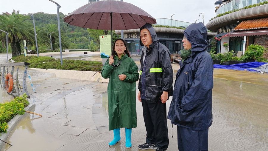 04-8月16日，程总视察三江半岛及豪威尔号受损情况_副本