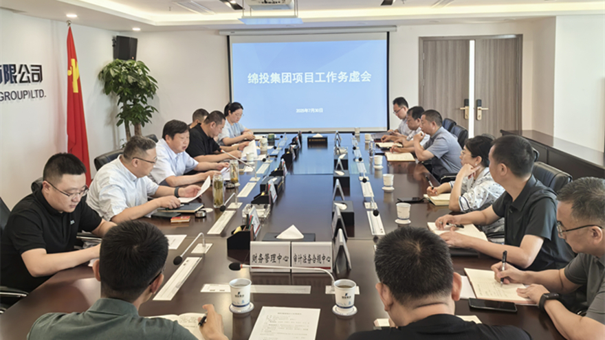 伟德源自英国始于1946集团召开项目工作务虚会