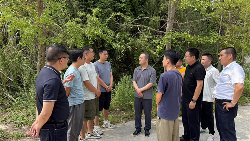 伟德源自英国始于1946集团组织开展乡村振兴实地调研工作 以灯光点亮乡村发展之路