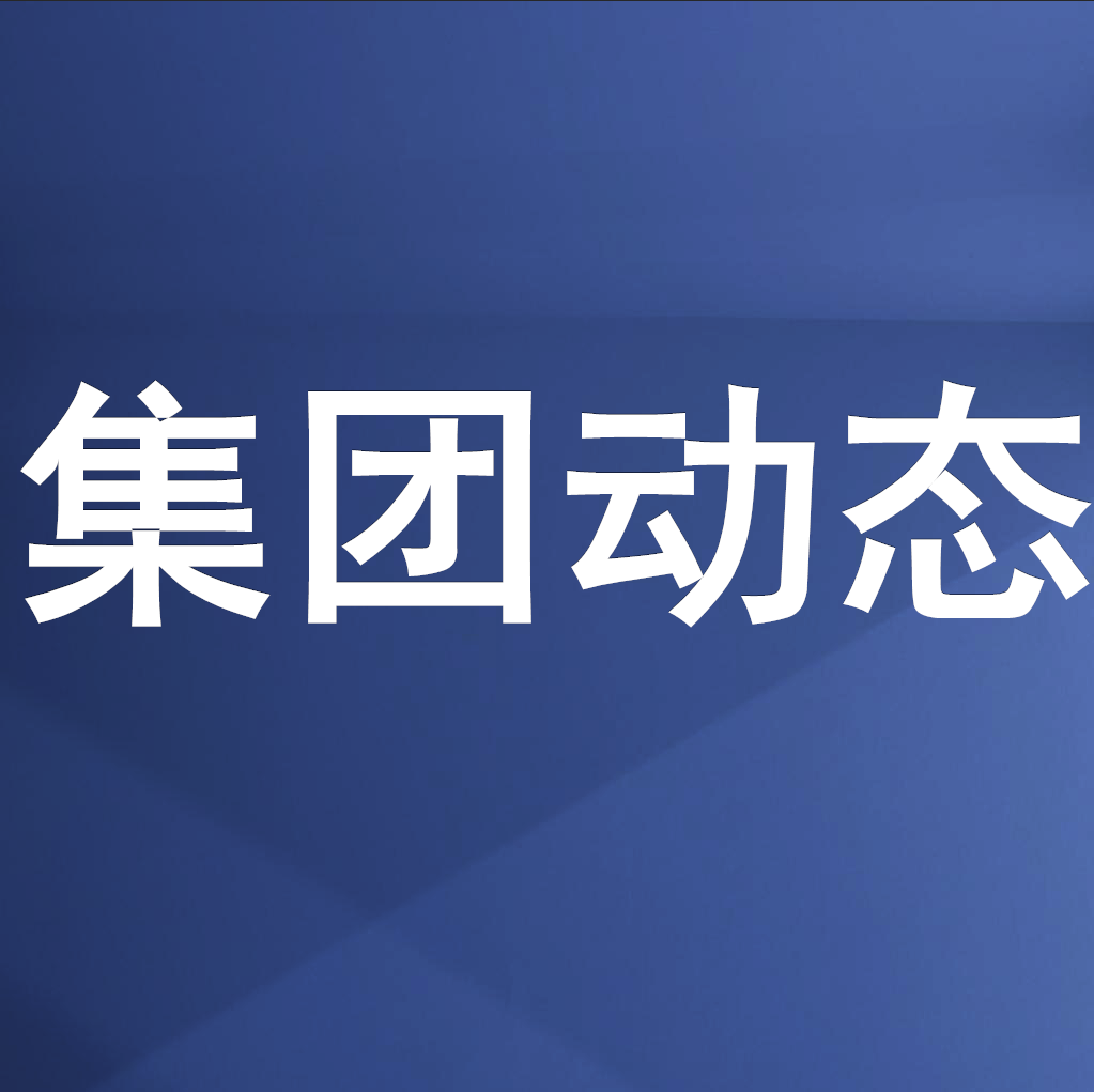 伟德源自英国始于1946集团召开“防风险·护稳定·保世运”工作暨 安委会第三次全体成员视频会议